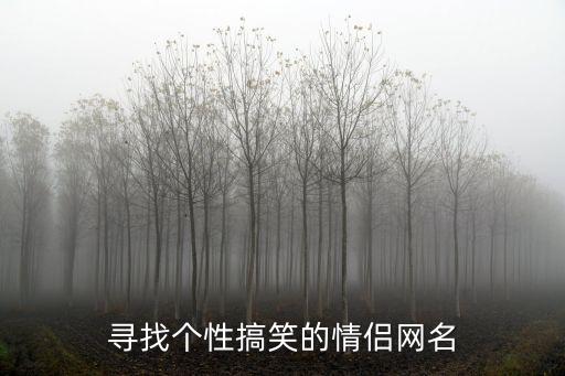 搞怪情侶網名，求搞怪的情侶網名
