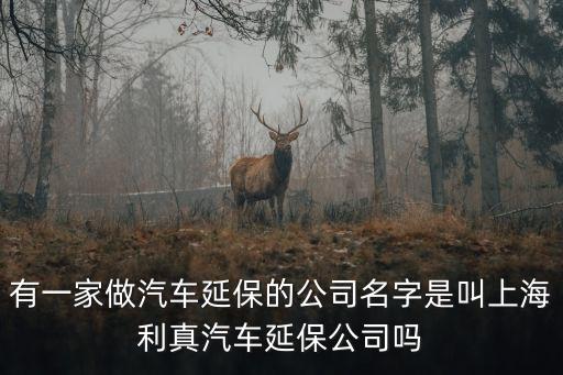 上海市做兒保系統(tǒng)的公司，上海哪家公司做保障模式有經(jīng)驗(yàn)