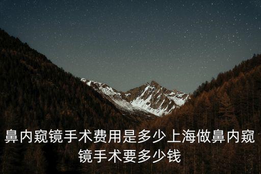 鼻內窺鏡手術費用是多少上海做鼻內窺鏡手術要多少錢