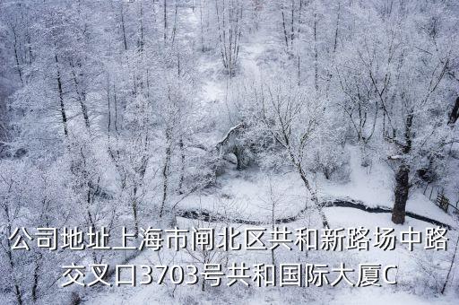 公司地址上海市閘北區共和新路場中路交叉口3703號共和國際大廈C