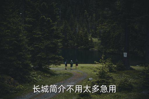 關(guān)于長城的資料，有沒有長城的資料啊 短一點
