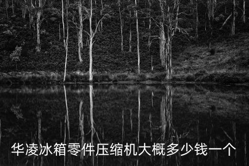 華凌冰箱零件壓縮機大概多少錢一個