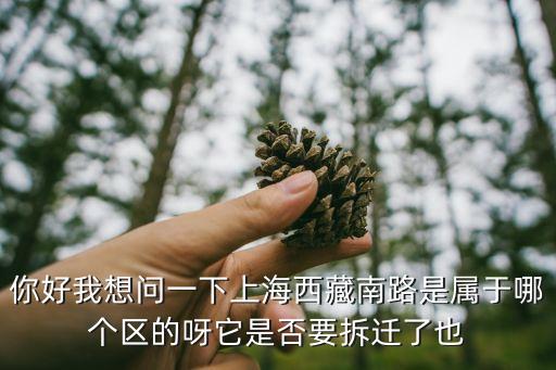 你好我想問一下上海西藏南路是屬于哪個區的呀它是否要拆遷了也