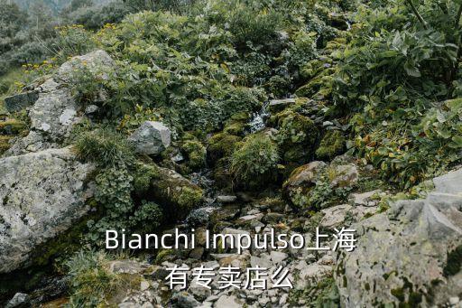 Bianchi Impulso上海有專賣店么