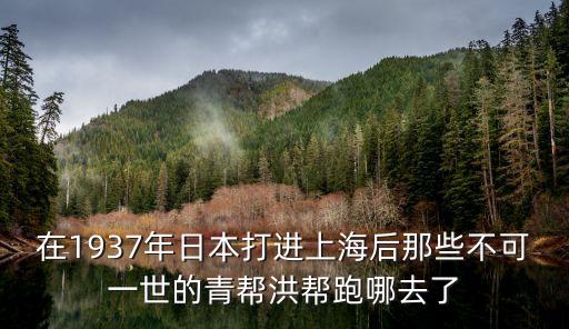 淞滬戰(zhàn)役后的上海市民，上海被占領(lǐng)后有日本人想拉攏中國人的嗎