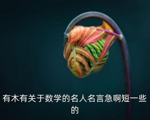 有木有關(guān)于數(shù)學(xué)的名人名言急啊短一些的