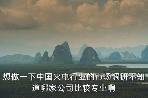想做一下中國火電行業的市場調研不知道哪家公司比較專業啊