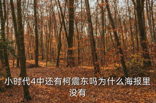小時(shí)代4中還有柯震東嗎為什么海報(bào)里沒(méi)有
