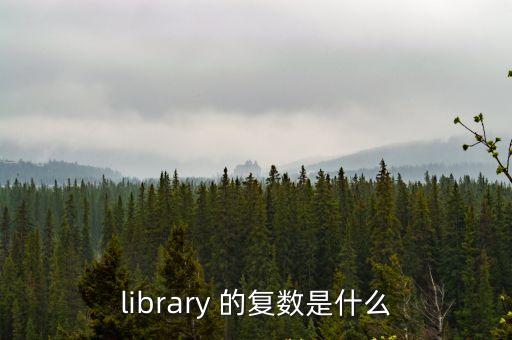 library的復(fù)數(shù)，library 的復(fù)數(shù)是什么