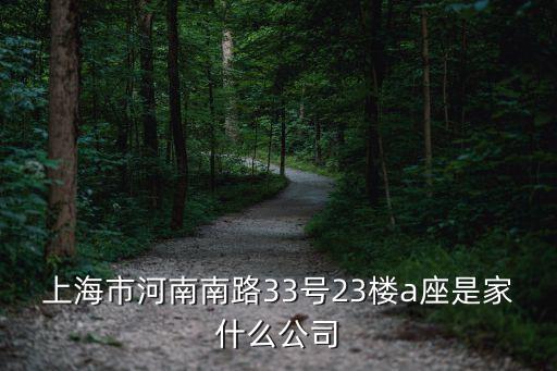上海市融橙公司，上海市河南南路33號23樓a座是家什么公司