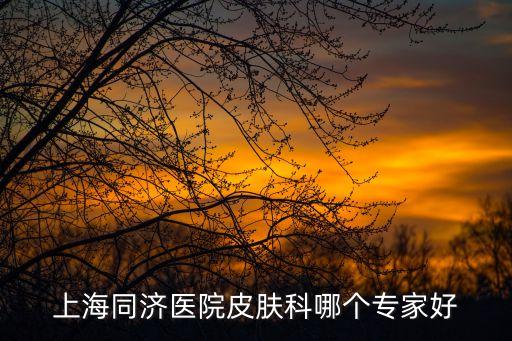 上海同濟(jì)醫(yī)院皮膚科哪個專家好