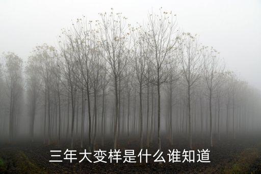 三年大變樣是什么誰知道
