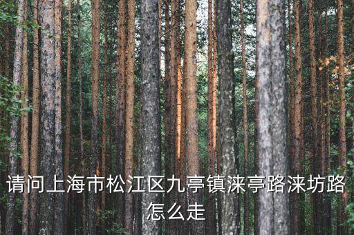 上海市淶亭公寓，上海浦東喜來登由由酒店都是什么人住
