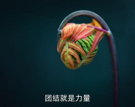 團結就是力量圖片，團結就是力量
