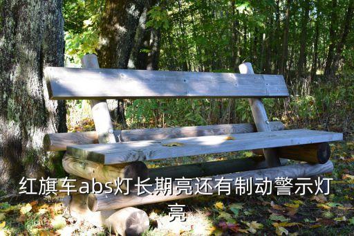 廣州紅旗h9亮燈，紅旗車abs燈長期亮還有制動警示燈亮