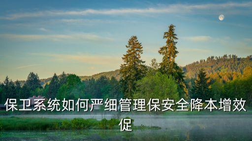 上海市嚴打擊掃頑疾保平安，保衛系統如何嚴細管理保安全降本增效促