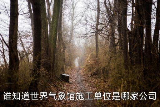 誰知道世界氣象館施工單位是哪家公司