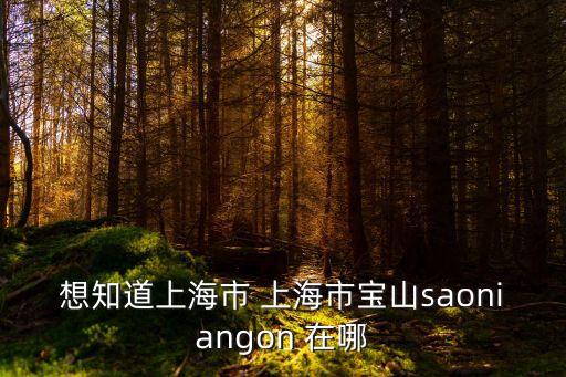 想知道上海市 上海市寶山saoniangon 在哪