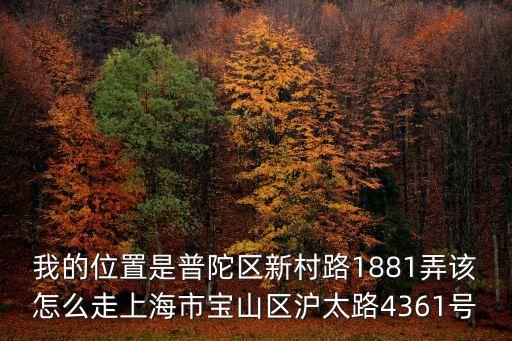 上海市普陀區(qū)新村路蔣斌，上海普陀區(qū)新村路423號(hào)2號(hào)樓309是個(gè)什么地方