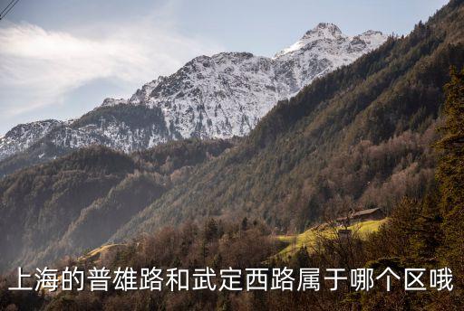 上海市雄立西路在什么地方，誰(shuí)知道這是上海的什么地方嗎具體在哪里我想去看看的有特殊的
