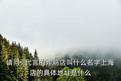 上海市蘇小西炸串店鋪圖片，上海那里賣炸的羊肉串