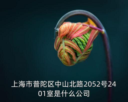 上海市普陀區(qū)中山北路2052號2401室是什么公司