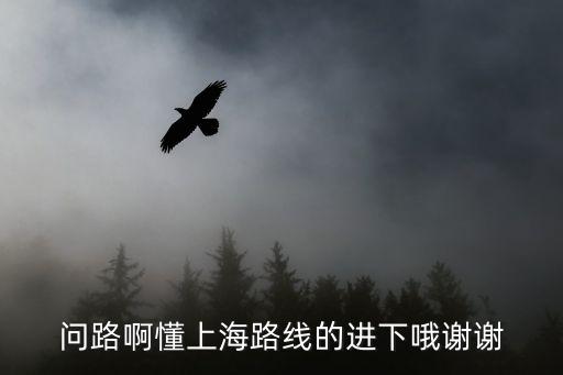 上海市井攻略路線，問路啊懂上海路線的進下哦謝謝