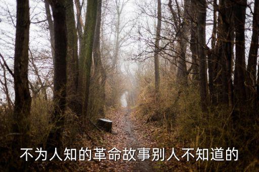 不為人知的革命故事別人不知道的
