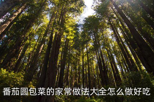 番茄圓包菜的家常做法大全怎么做好吃