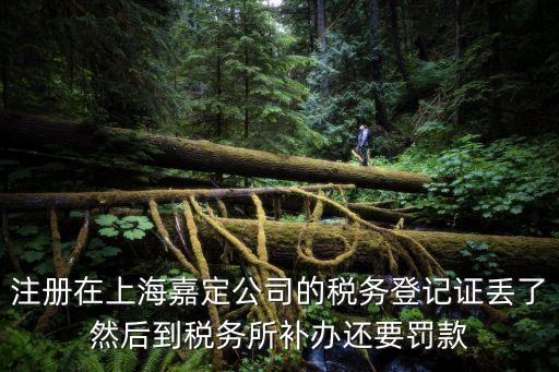注冊在上海嘉定公司的稅務登記證丟了然后到稅務所補辦還要罰款