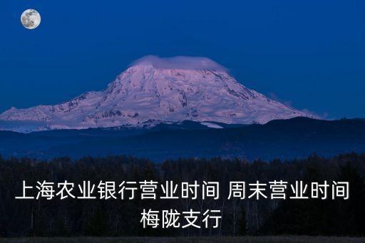 上海農(nóng)業(yè)銀行營業(yè)時間 周末營業(yè)時間梅隴支行