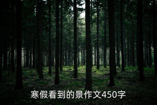 寒假看到的景作文450字