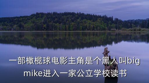 一部橄欖球電影主角是個(gè)黑人叫big mike進(jìn)入一家公立學(xué)校讀書(shū)