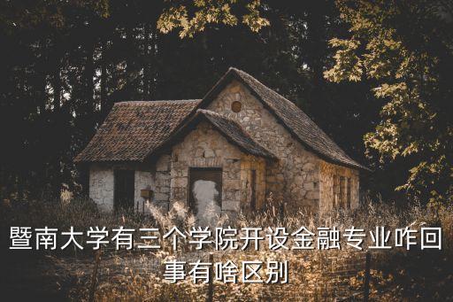 廣州暨南大學有金融系，暨南大學金融系