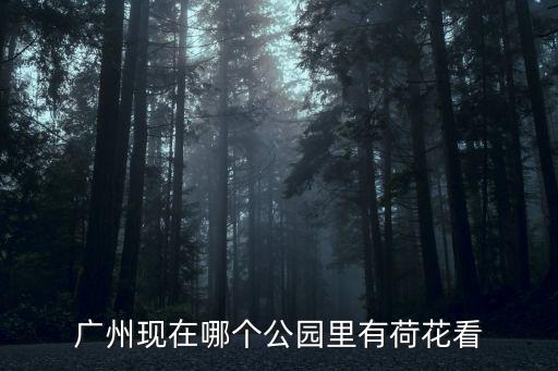 廣州現在哪個公園里有荷花看