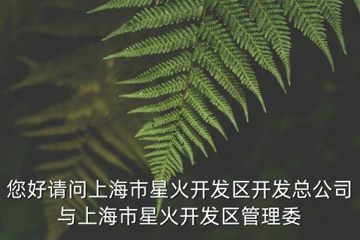 您好請問上海市星火開發區開發總公司與上海市星火開發區管理委