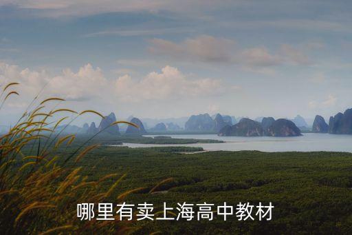 哪里有賣(mài)上海高中教材
