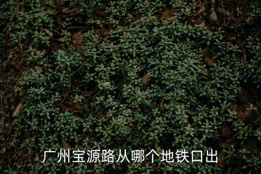 廣州恩寧路寶源路，廣州寶源路從哪個地鐵口出