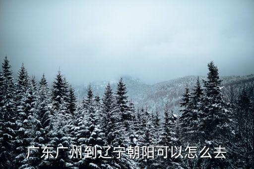 廣東廣州到遼寧朝陽可以怎么去