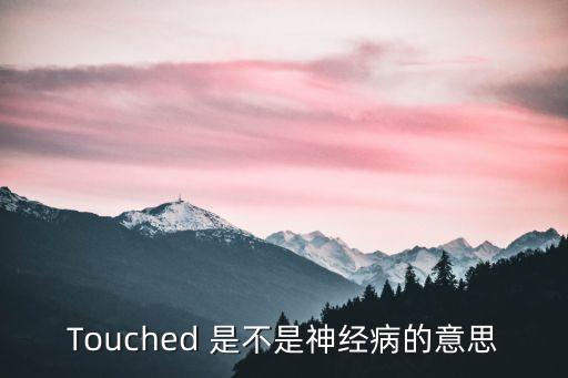 touched，Touched 是不是神經(jīng)病的意思
