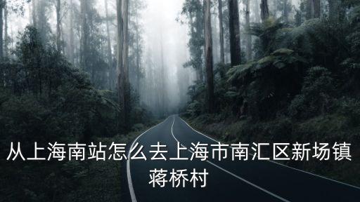 從上海南站怎么去上海市南匯區(qū)新場鎮(zhèn)蔣橋村