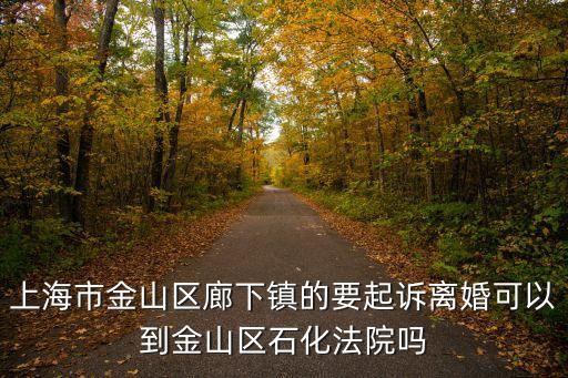 顏娉婷上海市金山法院，老婆是外地我是本地的老婆跑了大概2年我想離婚去法院起訴