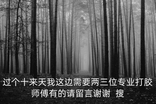 上海市專業打膠師傅，有沒有專業打膠的人