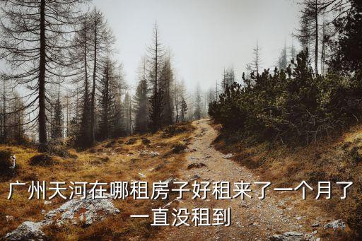 廣州天河在哪租房子好租來了一個月了一直沒租到