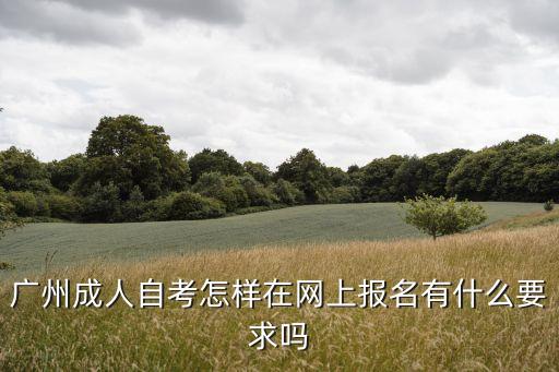廣州網上報名參加成考，廣州成人自考怎樣在網上報名有什么要求嗎