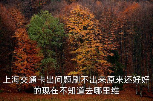 上海交通卡出問題刷不出來原來還好好的現(xiàn)在不知道去哪里維