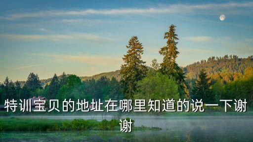 特訓寶貝的地址在哪里知道的說一下謝謝