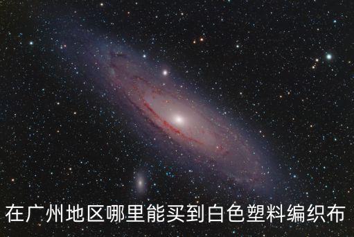 廣州哪里批發白色布料，廣州哪里有賣白色毛毛絨布料背景布