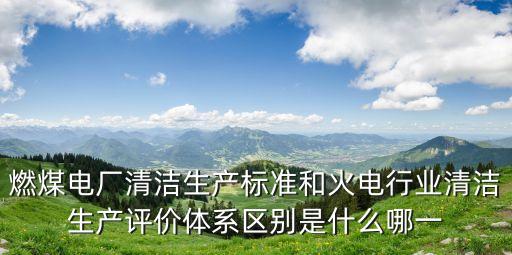 火電行業，想做一下中國火電行業的市場調研不知道哪家公司比較專業啊