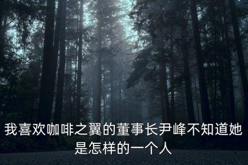 我喜歡咖啡之翼的董事長尹峰不知道她是怎樣的一個人